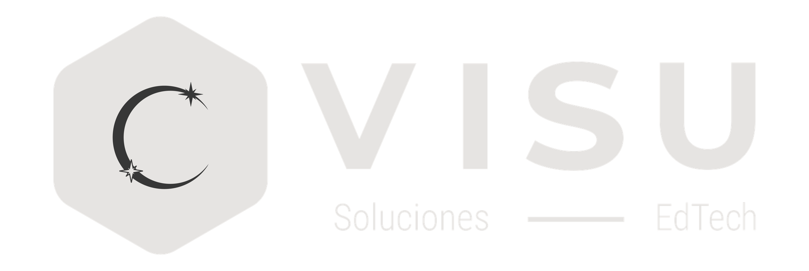 Visu Logo